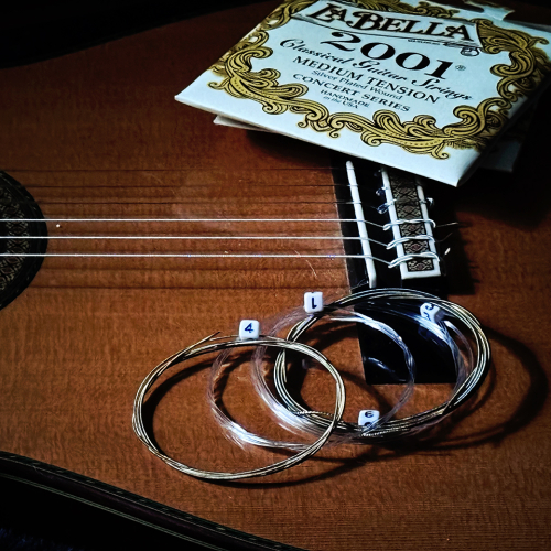Extra Guitar Strings