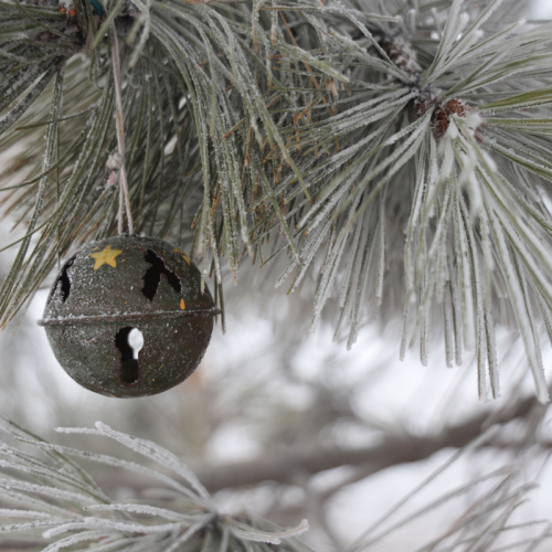 25-24-December-LB.jpg-bell in snow