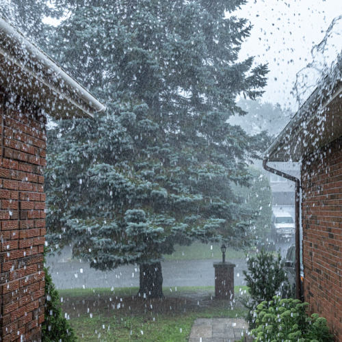 Storm
