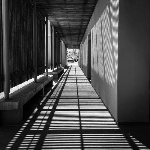 Shadow
