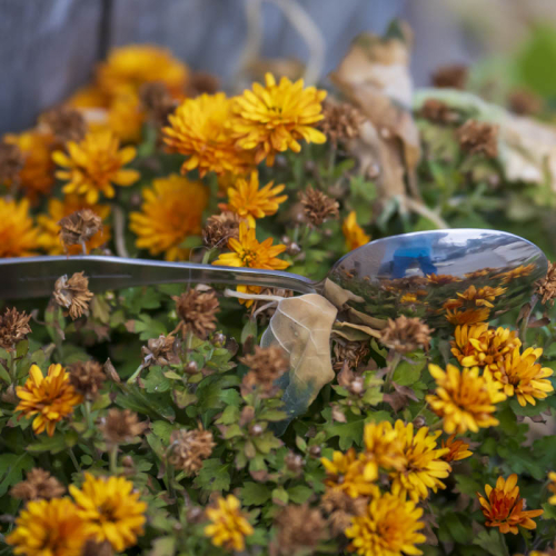 Silverware Reflections