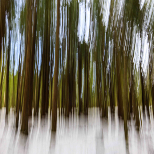 26-04-13-LB.jpg-intentional camera motion