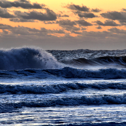 Swell