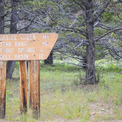 Trail Ahead