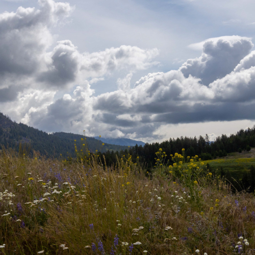 26-26-June-LB.jpg-clouds
