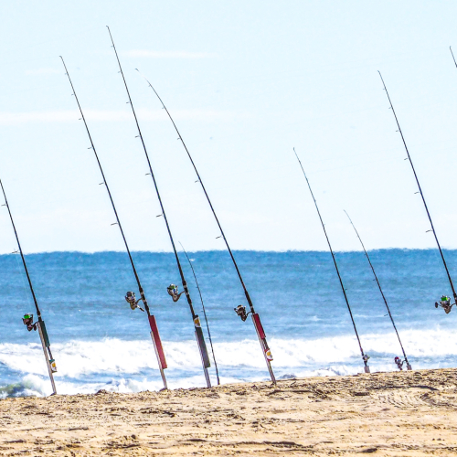Feels like summer - fishing poles 