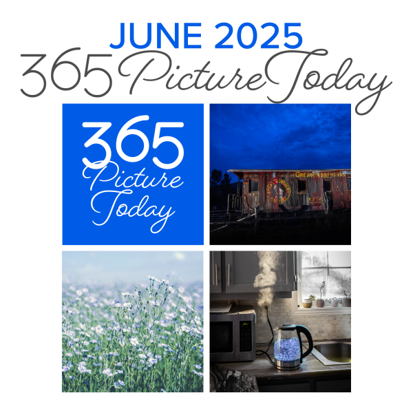 June 2025