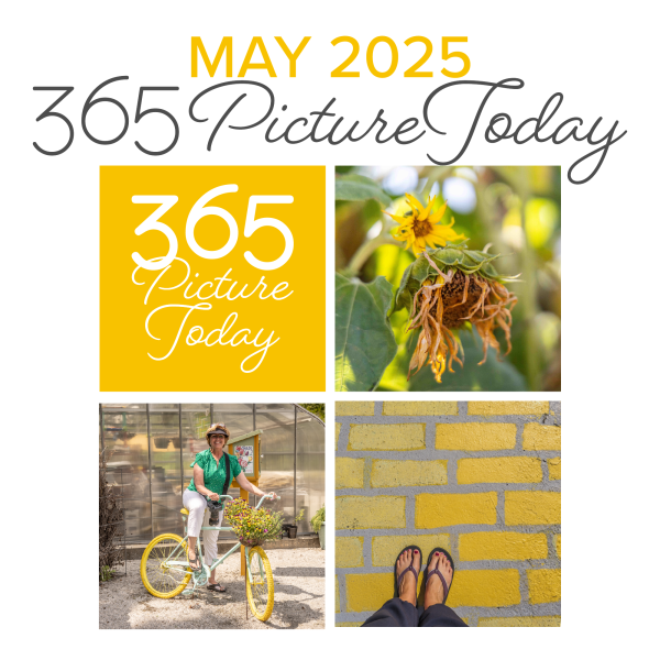 May 2025