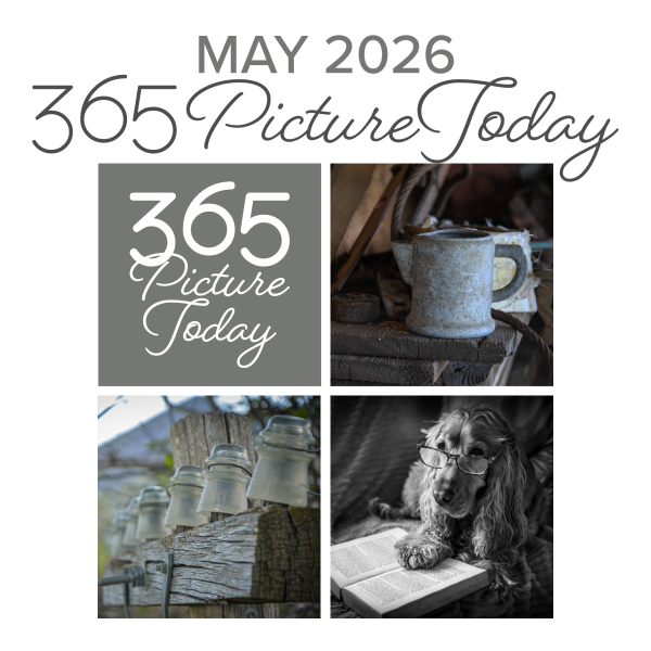 May 2026