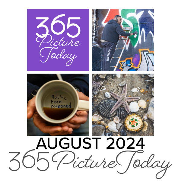 August 2024