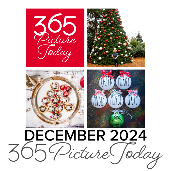December 2024