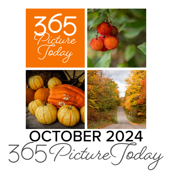 October 2024