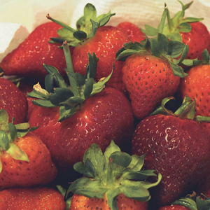 Pick Strawberries Day 