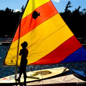 Delight. Colorful Sailboat
