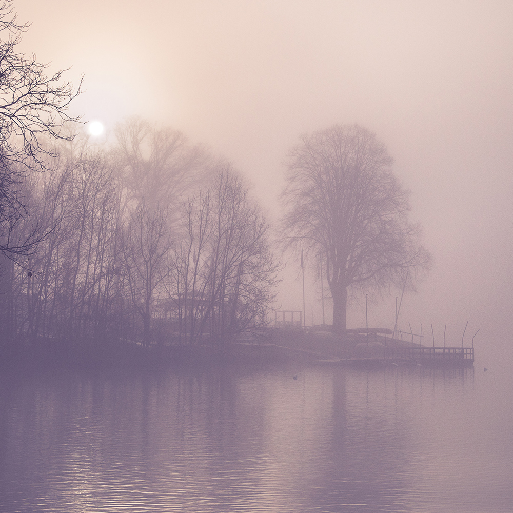 Misty Day