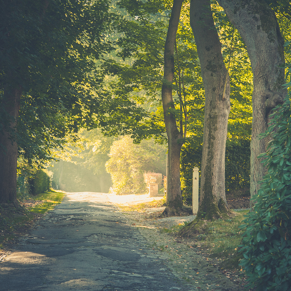 Avenue